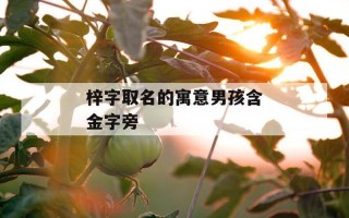 梓字取名的寓意—梓意盎然：寓意着茁壮成长，枝繁叶茂，繁荣滋长