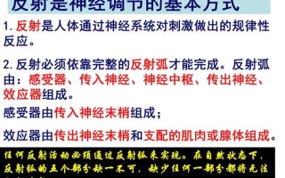 条件反射的成语—条件反射入木三分、潜移默化