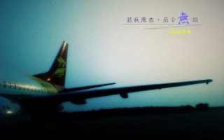 我可能不会爱你结局(此生未了缘，相会亦无期)
