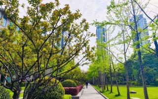 c点是哪个位置图片(揭秘C点：一片繁华都市的绿洲)