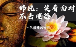 佛说爱情故事_红尘情缘，佛说前世今生