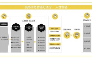 整合营销案例解析：洞察与创新