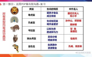 pdp测试_洞悉认知优势：开启PDP天赋之旅