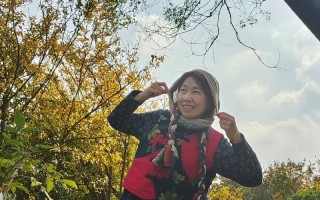 普鲁斯特效应：唤醒记忆的芬芳