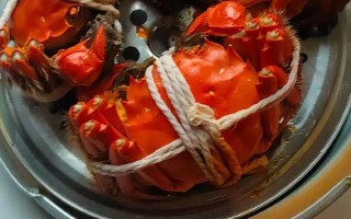 妹妹的美食冒险：我要吃遍天下