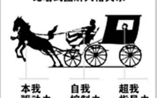 弗洛伊德的人格发展理论—弗洛伊德人格拼图：潜意识之谜与发展的历程