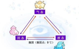 水多重要还是紧致重要_紧跟水多哪般妙 揭秘水足好处的秘密