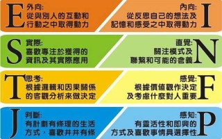 istj型人格(洞悉 ISTJ 的逻辑严谨与实事求是)