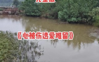 情为何物：爱的定义寻踪探秘