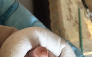宝宝为啥手握拳向上举_宝宝小手握握摇晃，灵动有趣