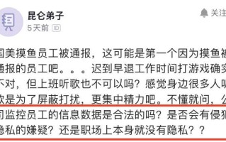 不许摸鱼(揭秘禁止摸鱼”的职场潜规则)