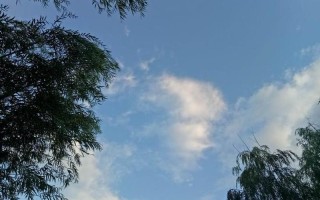 以内在之光点亮外在之美：身心和谐，由内而外