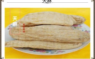 新鲜天麻的功效与作用吃法及禁忌—天麻：奇药功效与妙用，食疗禁忌全解析