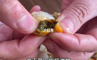 把腿张大点我就可以吃到扇贝了_把腿张大点，扇贝任你尝