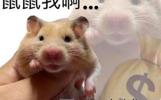 小东西该让我尝尝味道—微不足道的小事也请让我一尝滋味