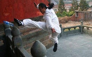 108式揭秘：神秘莫测的武学精髓