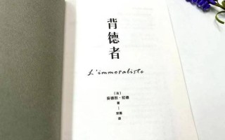 婚姻咨询辅导中心_婚姻关系的灯塔：专业咨询，点亮幸福之路