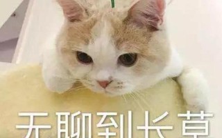 十指相抠好无聊，该干点啥解解闷