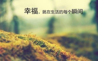 剩下的幸福_遗落时光中的幸福残片