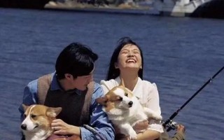 爱之旋律：余生与你携手相依