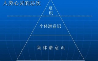 心理学的分支领域：理解人类心灵的丰富世界