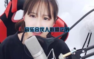 中国合伙人音乐插曲(商海风云，合伙共鸣：中国合伙人乐章)