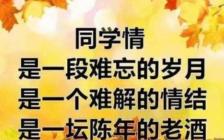 同学被孤立了怎么安慰_同窗冷眼：孤独的课桌旁