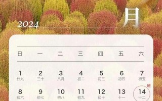 2024年是百年难遇的一年吗知乎_2024：百年难遇的非凡之年