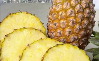 凤梨和菠萝是同一种水果吗(凤梨菠萝：同物异名，酸甜滋味的热带瑰宝)