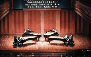 沉重的琴键奏响哀伤的乐章，让灵魂在琴音中沉沦