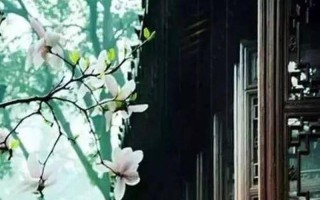 山望高远料不及
