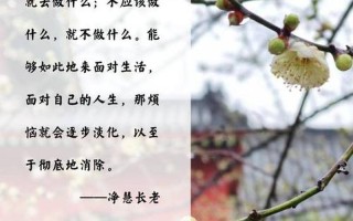 怎么把自己扣的全是水—水之禅法：化解烦恼于指尖