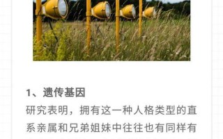 危险人格识别术读后感—识破危险人格的蛛丝马迹