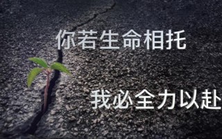 挚爱相托，莫辜负情缘