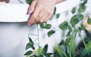 巧做鲤鱼吸水 唇齿间滋味无穷