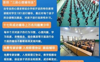 叛逆孩子学校收费指南：针对问题青少年的定制教育