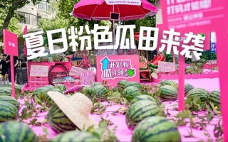 吃瓜群众的狂欢， *** 时代的瓜田盛会