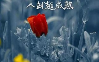 爱钻牛角尖的漩涡：从执着到解脱
