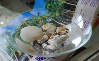 再迈一步，贝壳尽开，鲜美尽享