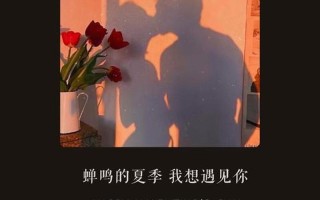 喜欢一个人的文案_心动无声 倾心可见