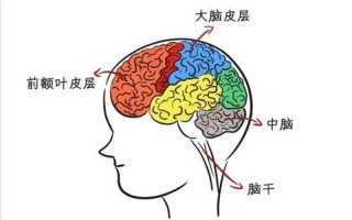 注意力小游戏课件_注意力大挑战：激燃你的大脑风暴