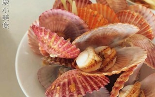 再把腿张大点就可以吃到扇贝了—伸腿可得扇贝鲜味