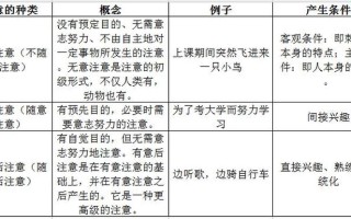 注意的品质(专注力：解锁卓越之钥，开启心流之门)