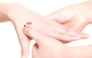 合谷的准确位置图片—图解详解：合谷穴精准定位，掌握止痛养生穴位