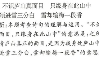 当局者迷，旁观者慧见明朗