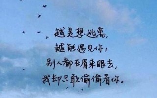 心尖上的那抹温存，只对你轻诉
