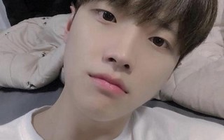 深夜男生专属福利：释放荷尔蒙的视觉盛宴