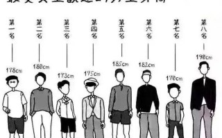 男人黄金标准：探寻理想男性尺寸
