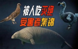 助力：持久战王者归来，时间延长惊人之谜