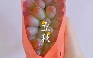 男生吃女生的两个葡萄_青春之缘，葡萄入怀